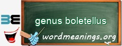 WordMeaning blackboard for genus boletellus